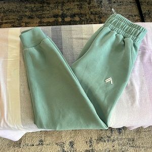 🎉HP🎉Alphalete Women’s Elements Jogger